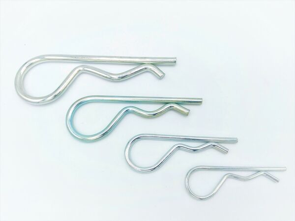 Borgveren kopen in Alkmaar bij Postma en Postma