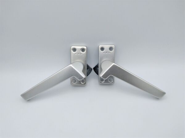 Raamboompjes kopen in Alkmaar bij Postma en Postma