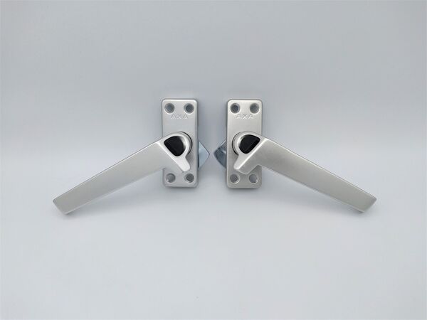 Raamboompjes kopen in Alkmaar bij Postma en Postma