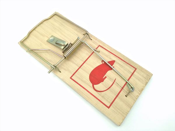 Ongediertevallen kopen in Alkmaar bij Postma en Postma